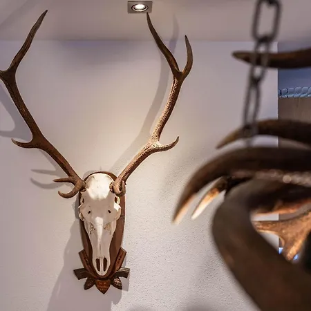 Perauer Майрхофен