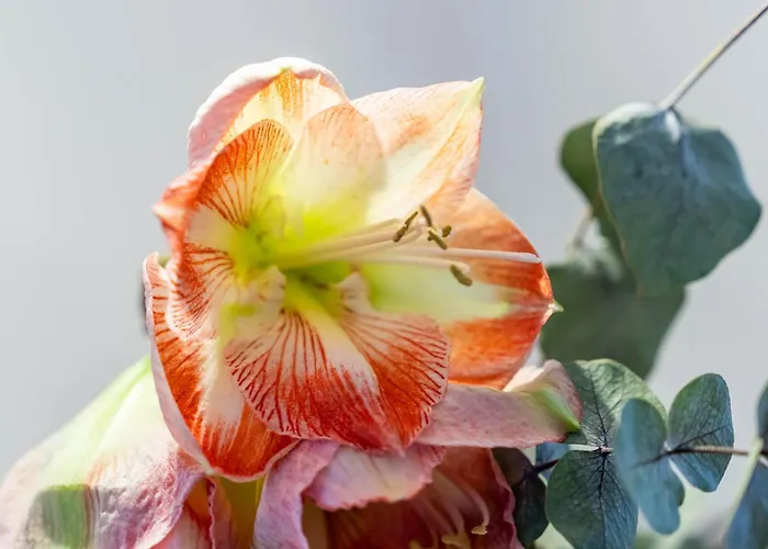 Appartement Perauer Mayrhofen