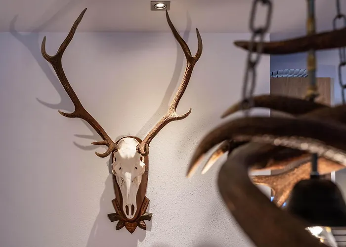 Perauer מאיירהופן